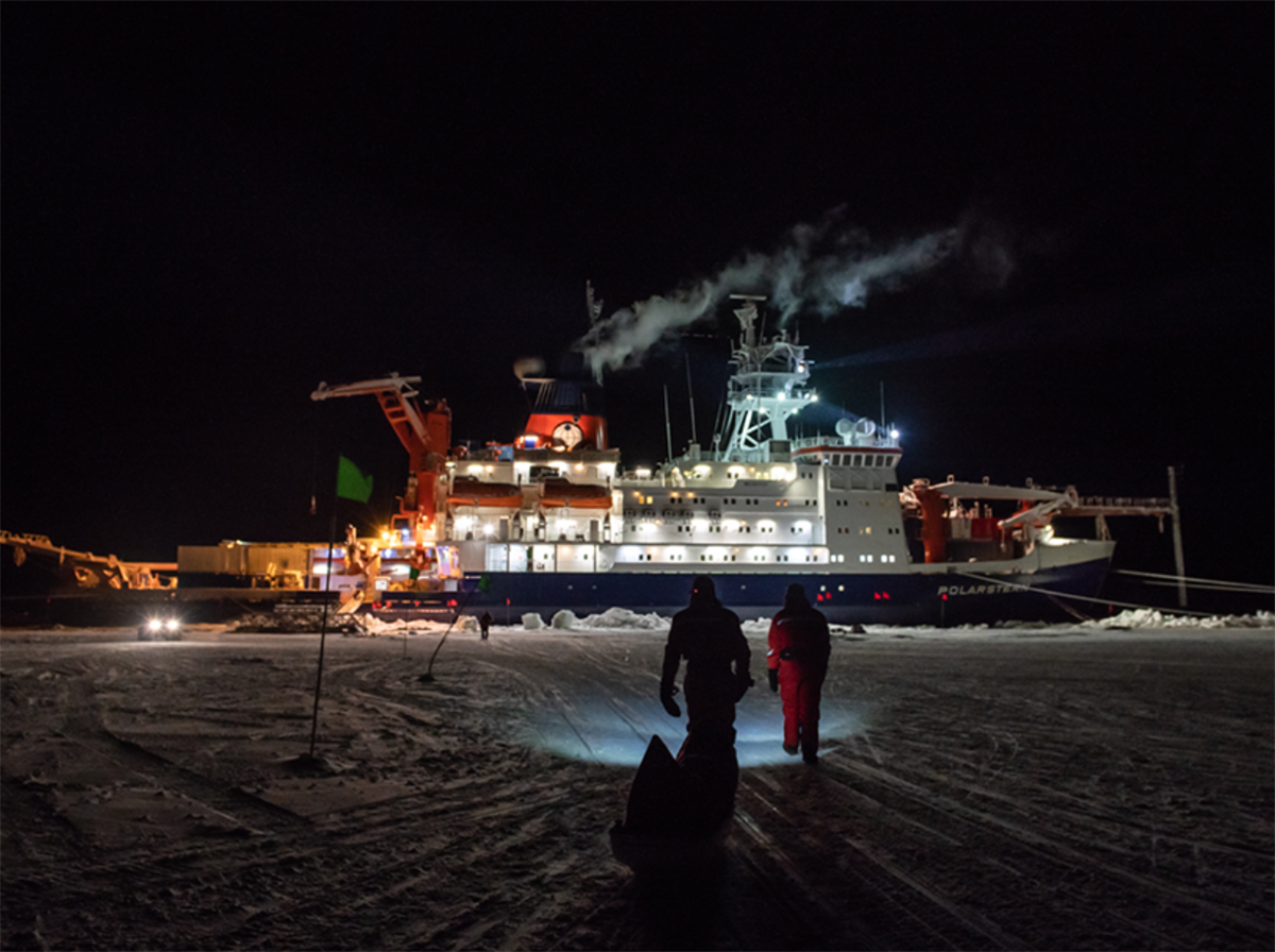 Fremantle unveils new high-end documentary Artic Drift